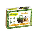 Planta tus propias infusiones
