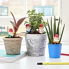 Disfruta de enanos de jardín en tu piso o apartamento