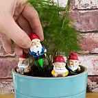Harán compañía a tus plantas