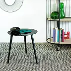 El modelo en color verde