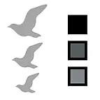 El paquete incluye 6 pájaros en 3 tonos de gris diferente