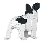 Diseñado en Hong Kong