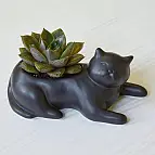 Una maceta original para gatunos