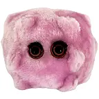 Uno de los tres peluches del virus de la mononucleosis infecciosa