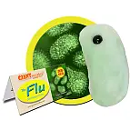 Incluye una etiqueta informativa sobre el microbio