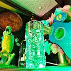 Cada vaso tiene capacidad para 450 ml