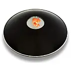 Reproduce la imagen de un objeto en 3D.