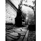 Una foto tomada con una cámara-lata.