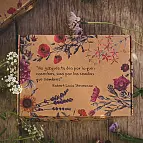 Caja de seis bombas de semillas de flores