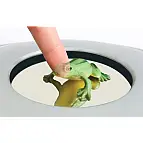 Reproduce una imagen holográfica tridimensional.