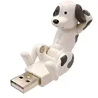 USB Dálmata.