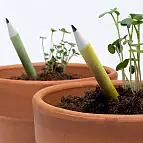 Convierte el lápiz en una planta