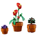 Plantas tropicales