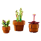 Y plantas carnívoras