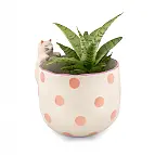 Gatito