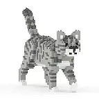 Gato gris atigrado
