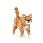 Gato atigrado naranja