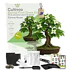 Cultivo en interior