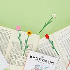 Diseño bonito y delicado