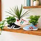 Walking Plant, maceta en forma de zapatilla