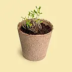 Diseñada en España por Resetea