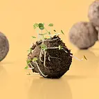 Un regalo original y con propósito para los amantes de la jardinería