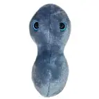 Detalle del Peluche Gonorrea