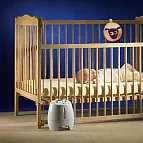 Duérmete niño, duerme con Ewan ...