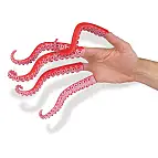 ¡Pónte 5 para parecer un pulpejo!