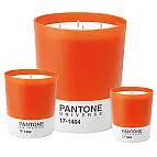 Modelo en color naranja 17-1464 (la grande es la del centro)