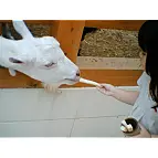 Esta foto ha sido tomada con la Cámara Chocolate