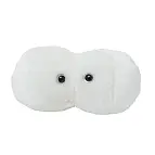 Este peluche no destruye tus dientes
