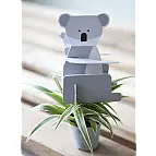 El tierno koala