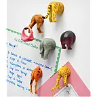 Organiza un safari en tu cocina