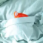 Podrás dormir con él