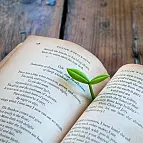 Este marcapáginas brotará de tus libros