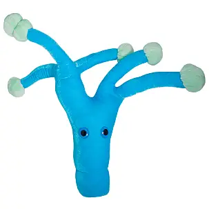 Peluche de Microbio Gigante 