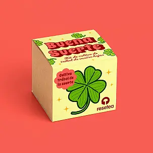 Buena suerte. Kit de cultivo de trébol de cuatro hojas