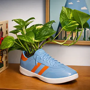 Walking Plant: maceta original en forma de zapatilla