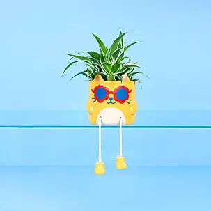Maceta original Cool Cat