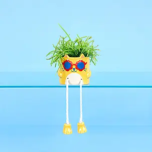 Mini maceta Cool Cat