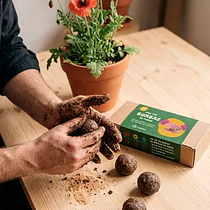 Kit para hacer bombas de semillas de flores