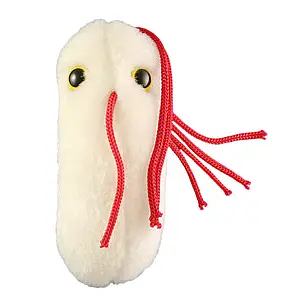 Peluche de Microbio 'Salmonela'