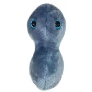 Peluche de Microbio de Gonorrea