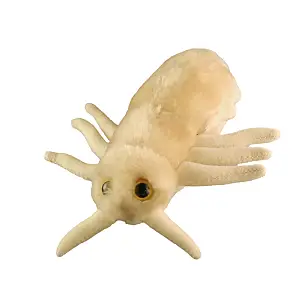 Peluche Piojo