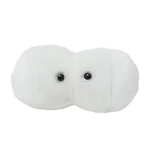 Peluche Caries