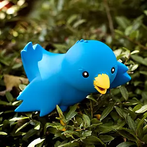 Pájaro de Twitter 