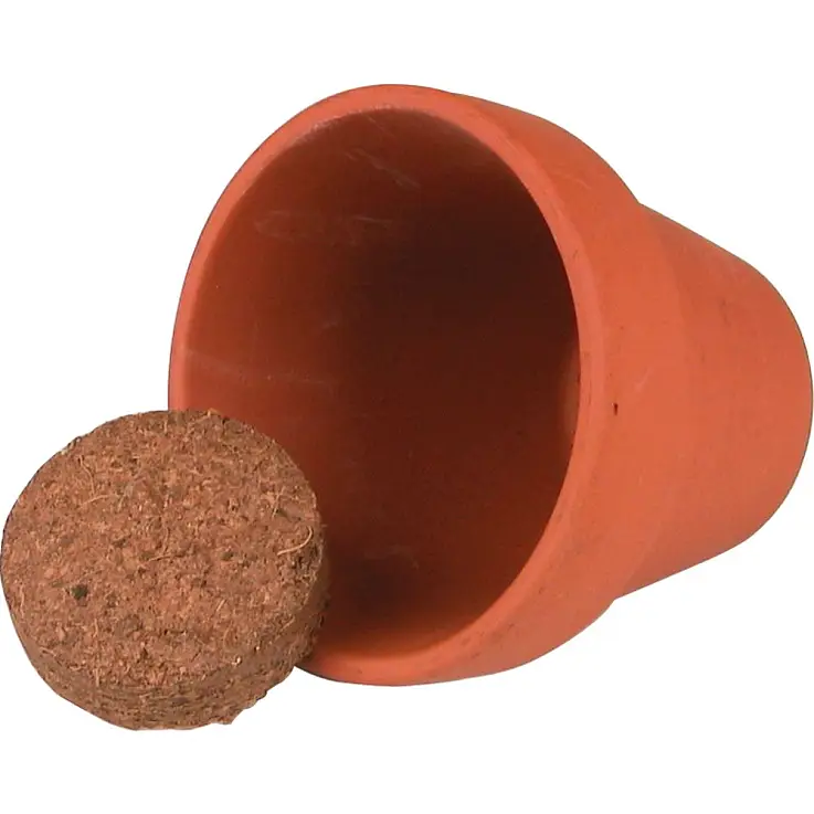 El kit incluye todo lo necesario para plantarla
