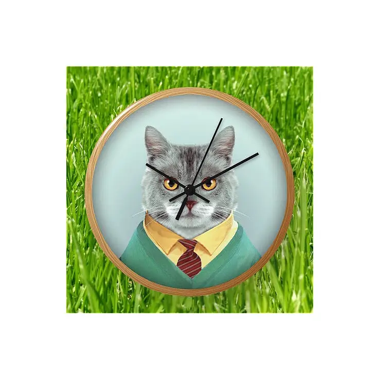 El gato es un tipo muy formal