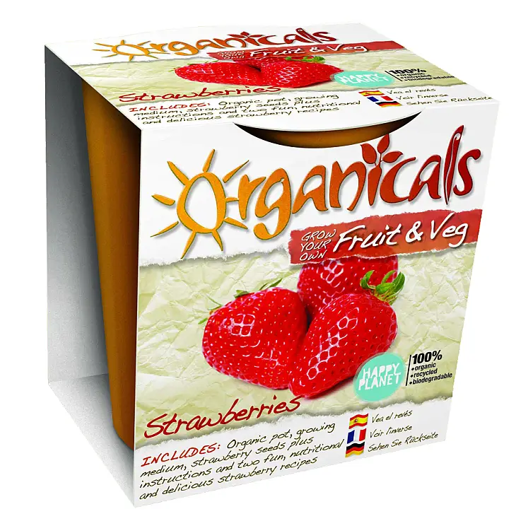 Kit Botánico de Fresas